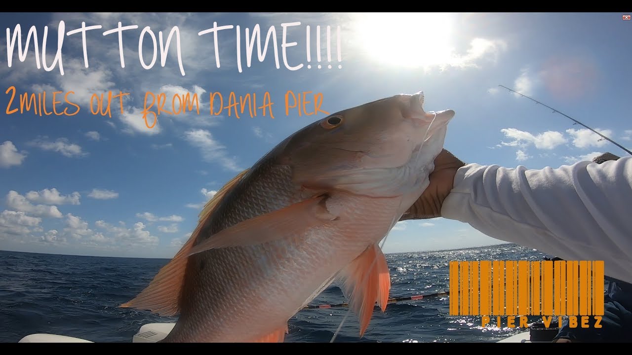 Mutton Snapper (Catch, Clean, Cook) - YouTube