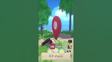 When was the last time you used a map for navigation? 🗺️📍