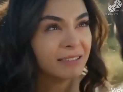 مصطفى كامل فكرتك حبيب ایامی 