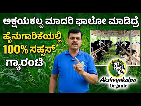 ಅಕ್ಷಯಕಲ್ಪ ಮಾದರಿ ಹೈನುಗಾರಿಕೆ: ಈ ರೀತಿ ಮಾಡಿದರೆ 100% ಸಕ್ಸಸ್ ಖಚಿತ! | Akshayakalpa Organic Dairy Farming 