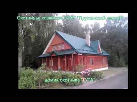 Рыслинская нива охотничье хозяйство