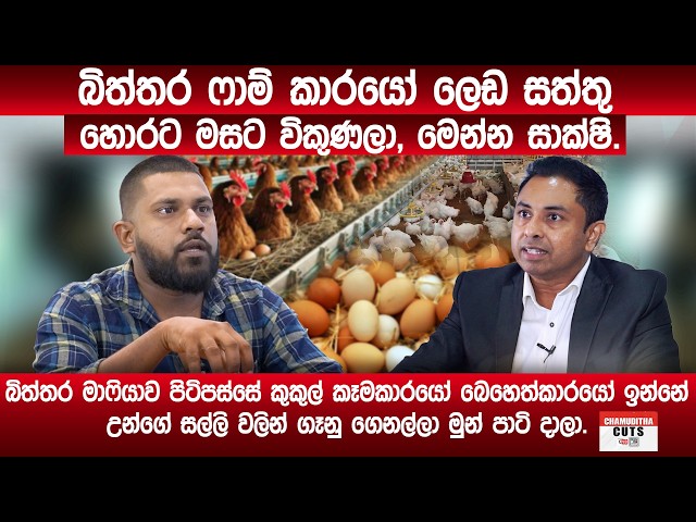 බිත්තර ෆාම් කාරයෝ ලෙඩ සත්තු හොරට මසට විකුණලා, මෙන්න සාක්ෂි. බිත්තර මාෆියාව පිටිපස්සේ ඉන්න උන් මෙන්න.