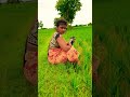 Chalone Gudiya Shortvideo Cutecple