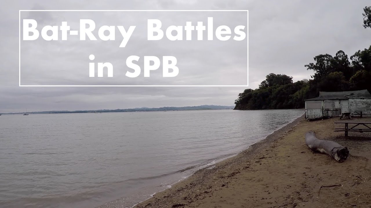Bat-Ray Battles in San Pablo Bay (Kayak Fishing with Hobie Outback)