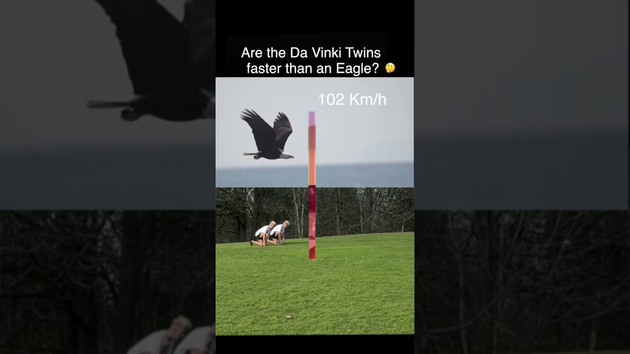 Are the Da Vinki Twins faster than an eagle?
