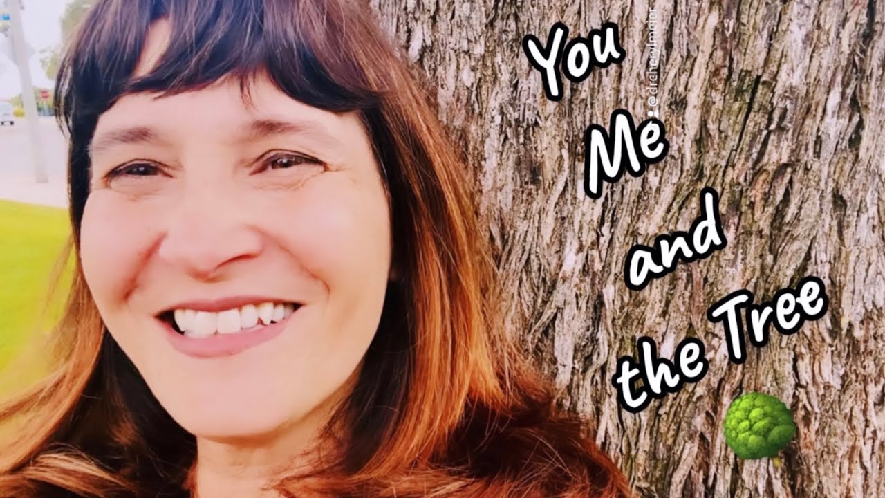 you-me-and-the-tree-youtube