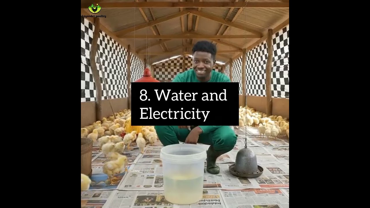 Watch This Video, To understand how to plan well before starting Poultry Business!