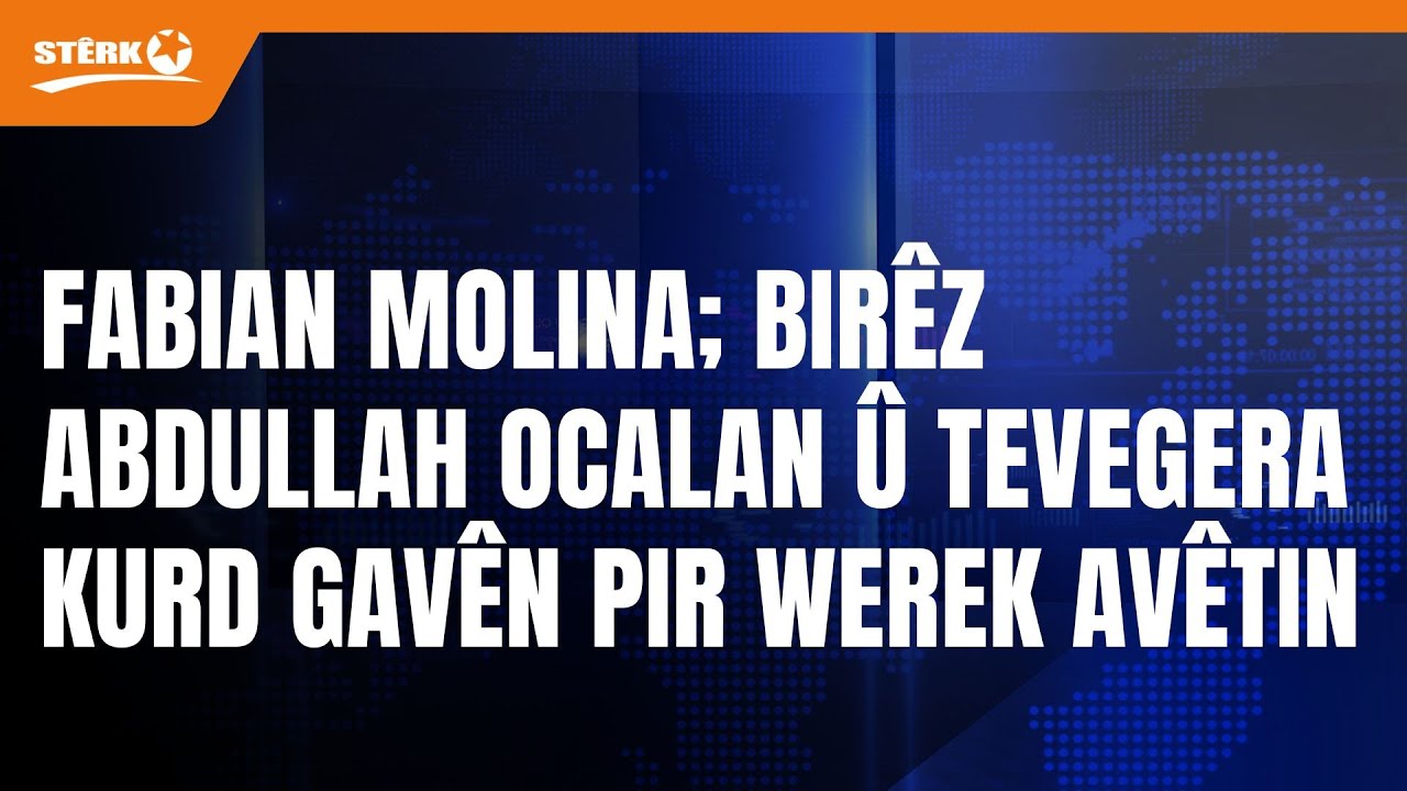 Parlementerê Swîsreyê Fabian Molina; Birêz Abdullah Ocalan û Tevegera Kurd gavên pir werek avêtin.