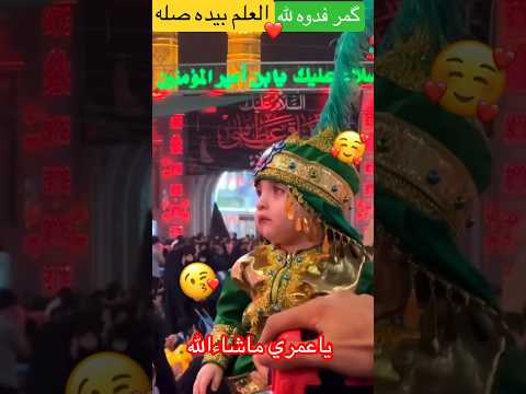 شد لثامه محمد الجنامي كمر فدوه لله العلم بيده صلى جمال اباالفضل العباس قمر بنى هاشم ماشاءالله هلطفل 