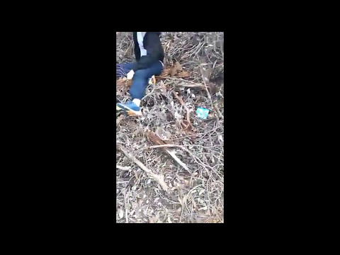 A Tree Branch Snaps and 16 Year Old Me Falls Down - A Documentary