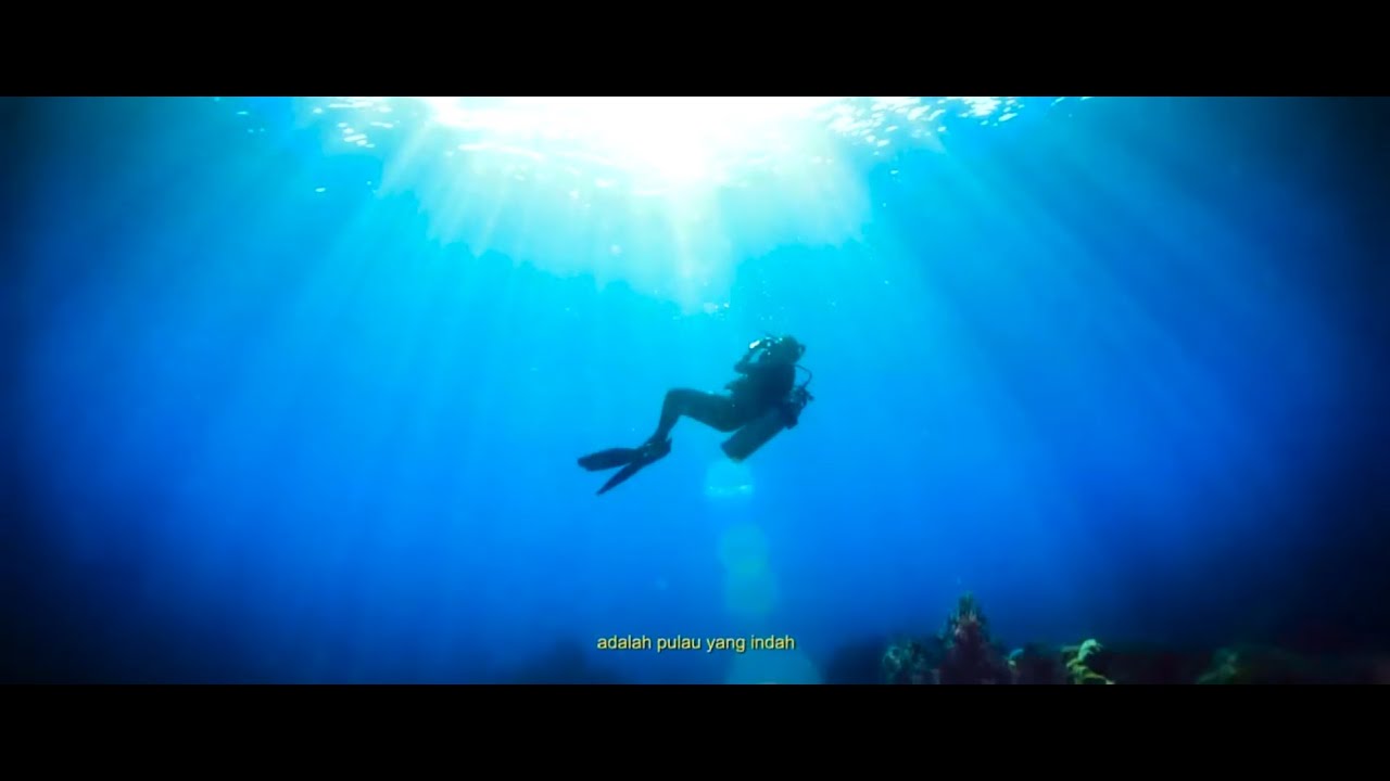 Life In Bali - 1st Winner of Alphaworks.id Video Editing Competition BATCH 2