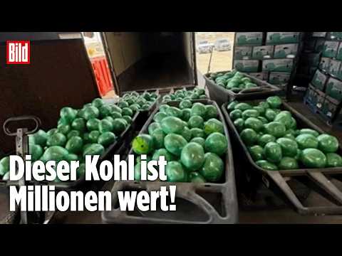 Schmuggel-Gemüse: DEA entdeckt mehr als 900 Kilo Crystal Meth zwischen Kohlblättern