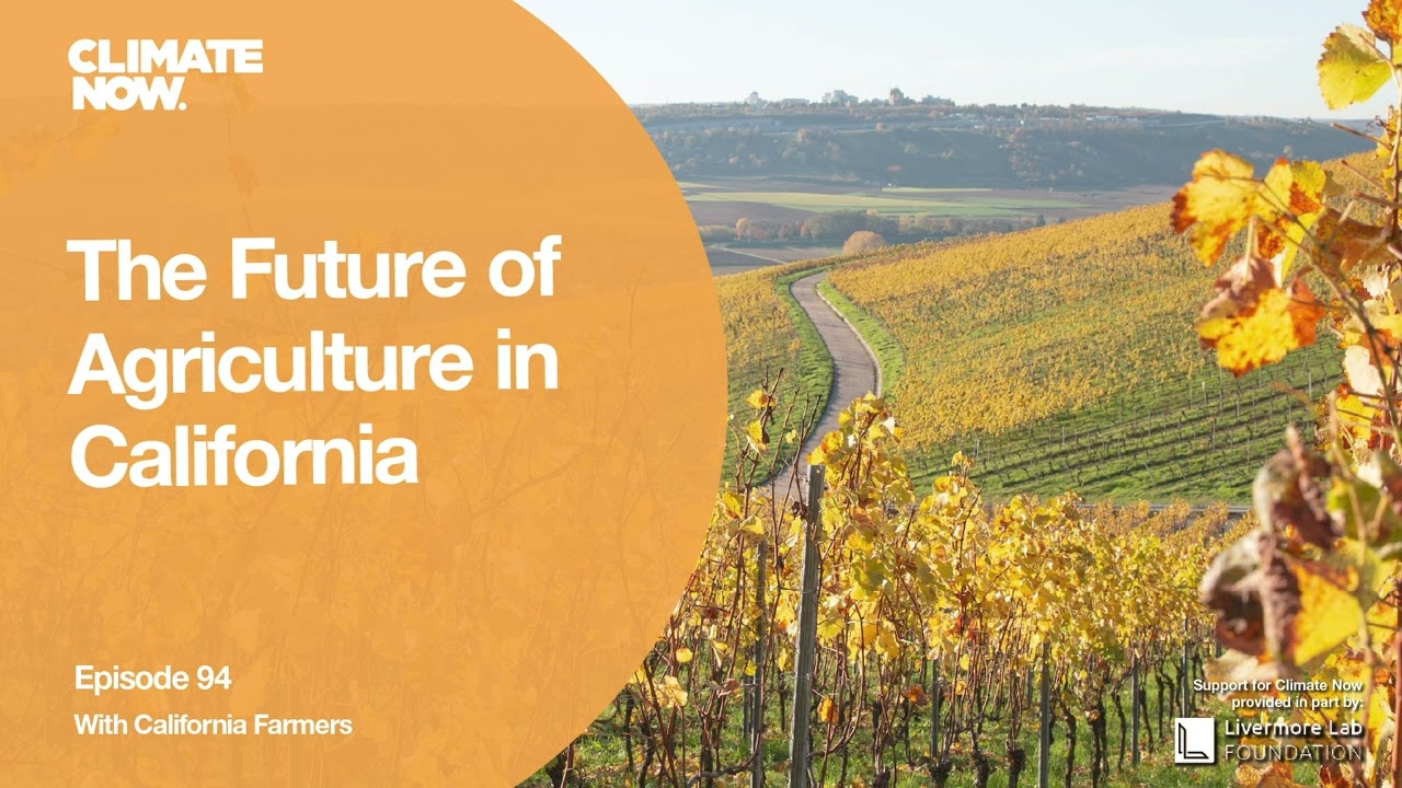 What is the future of agriculture in California? | Climate Now Podcast Episode 94