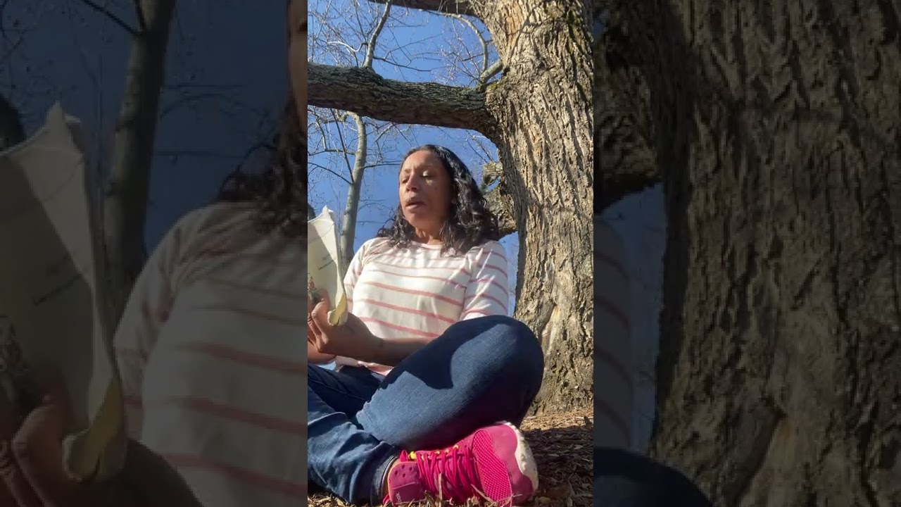 Court of ages lotlhb5