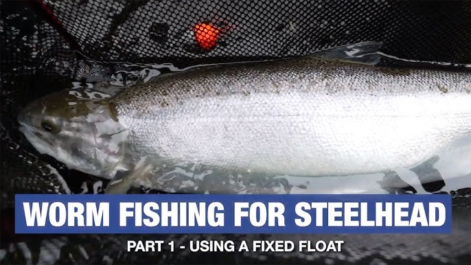 How-To Drift Fishing Steelhead Worms (Worm Series Part 3 of 3