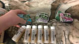Indo Expo goodies and update