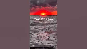 سورة المسد ماهر المعيقلي #قرآن #qoran #اكسبلور