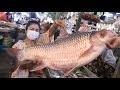 Wow, amazing big Mekong river fish I bough from the market / Tom yum fish soup cooking