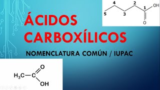 ÁCIDOS CARBOXÍLICOS/NOMENCLATURA COMÚN-IUPAC
