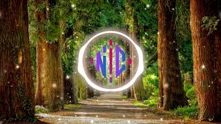 Download Lagu 🎶 Spring – Ikson | #Instrumental [No Copyright Music] MP3