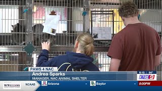 New nonprofit Paws4Nac launches to support Nacogdoches Animal Shelter
