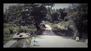 Nissan Vrg Van Cyge Sri Lanka Modified Van