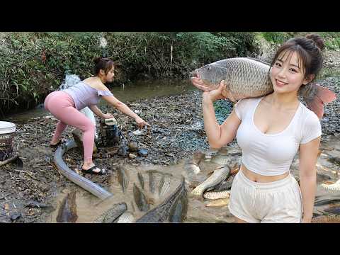 Wow Unbelievable Fish Catching: A Whole School of Fish Hiding Beneath the Mud | Nguyet Fishing