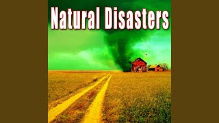 Large Forest Fire with Heavy Crackle