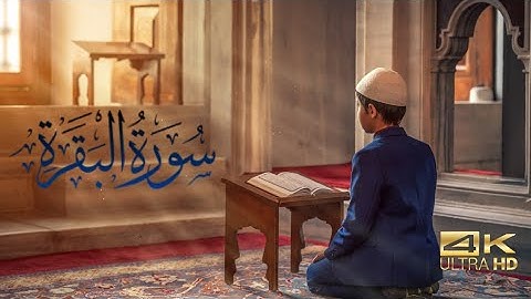 سورة البقرة | القسم 36 | القارئ زكرياء اضريوي - Zakaria Draiouiy