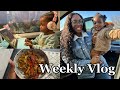 Weekly vlog  immersion dans ma vie  ep 14  dalhiailoveyou