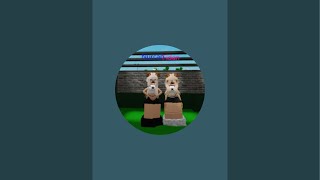 Nurcan Alizade Canlı Yayım Başlatdı