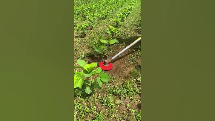 #agriculture #agricultor #agrimachine - DayDayNews