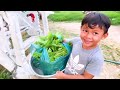 Nao pisey | Natural Scenery | Fresh Vegetable Cutting|ទេសភាពធម្មជាតិ|កាត់បន្លែស្រស់ល្អណាស់