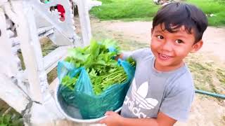 Nao pisey | Natural Scenery | Fresh Vegetable Cutting​​|ទេសភាពធម្មជាតិ|កាត់បន្លែស្រស់ល្អណាស់