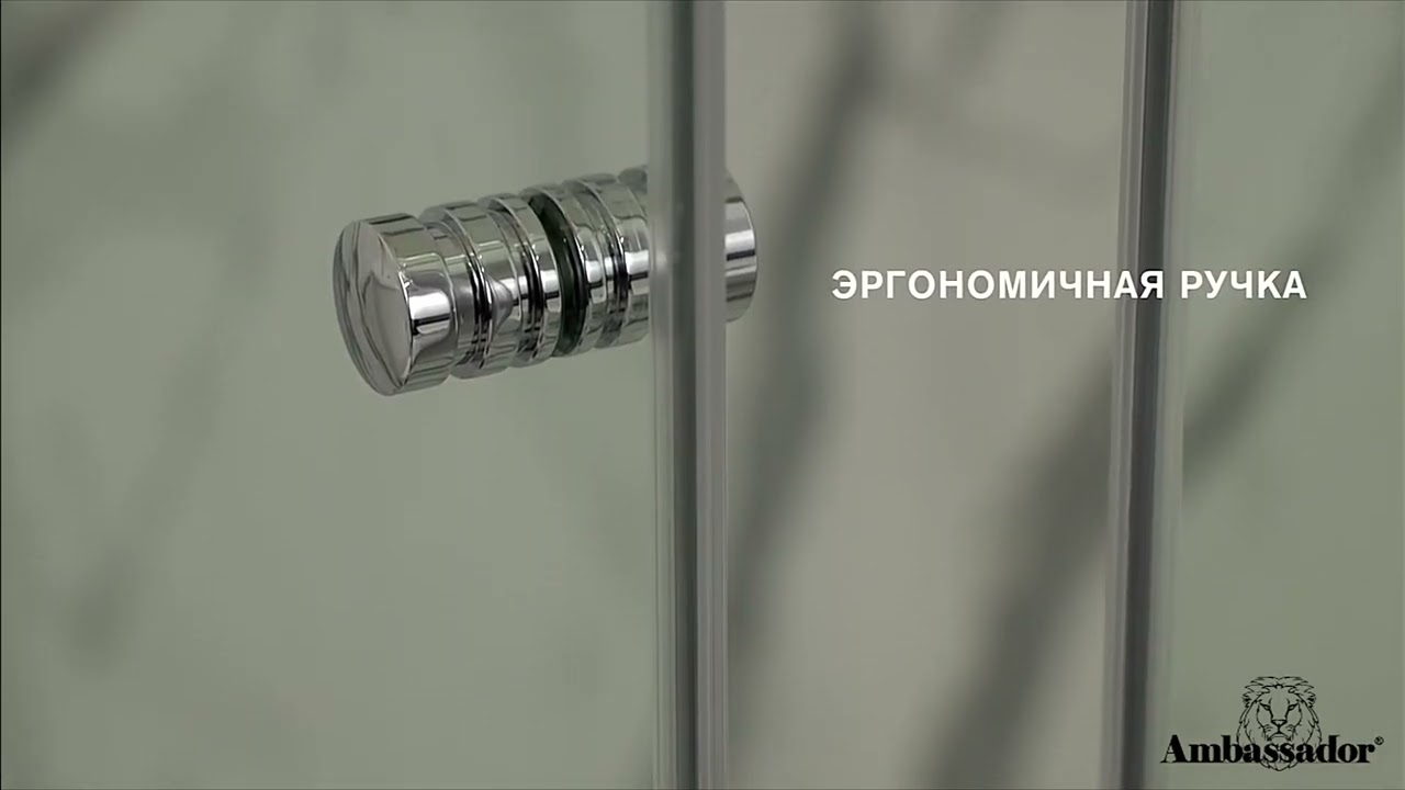 Душевой уголок Ambassador Diamond 12011106 100x100 см