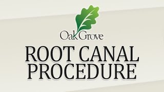 Oak Grove Dental: Single Visit RCT Procedure