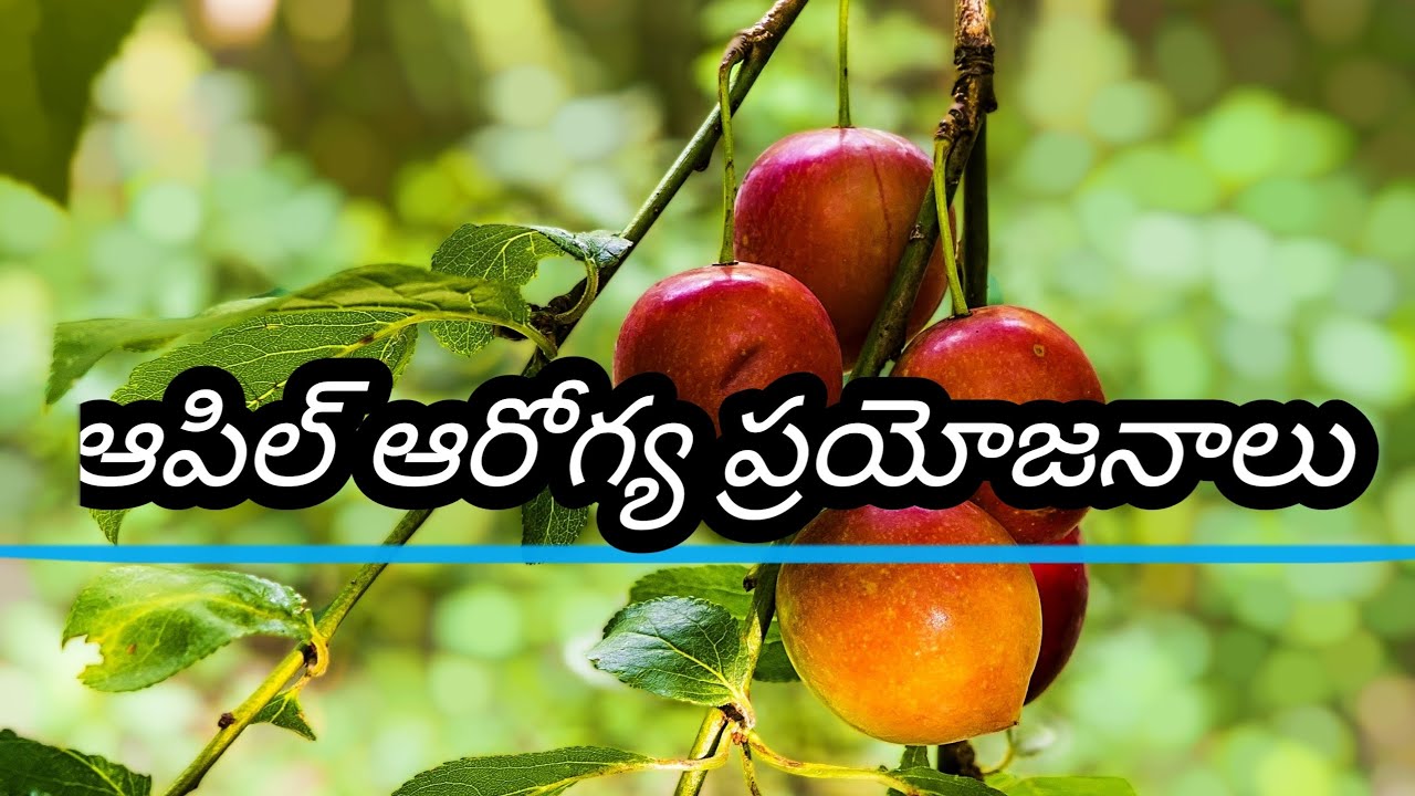 apple uses in telugu YouTube