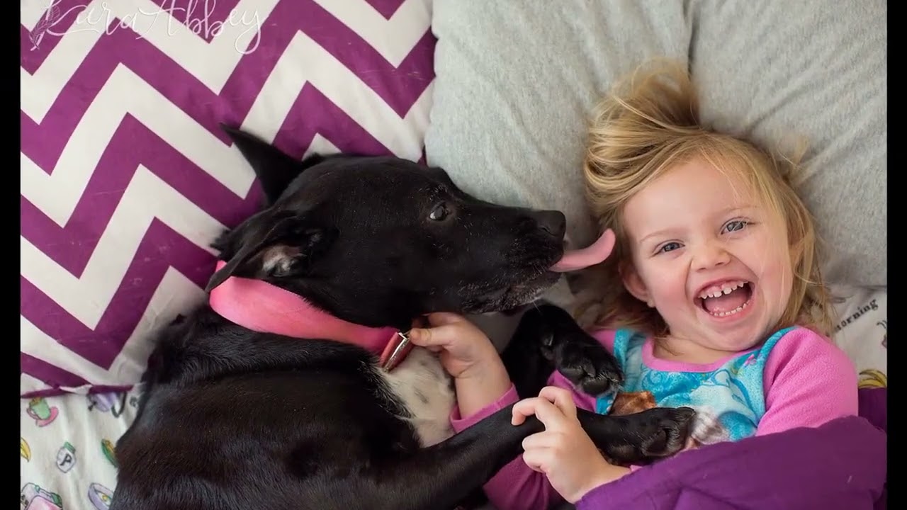 OSPCA launches iAdopt campaign and cutest animal photo contest