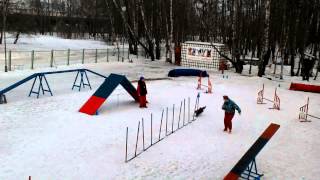 V 20150309 1520571