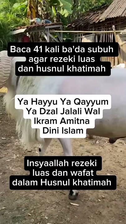 Baca 41 kali ba'da subuh agar rezeki luas dan husnul khatimah #doa #doamustajab #shorts