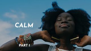 All Calm Music from Youtube Audio Library (part 1) 🎵 179 songs [9hs]