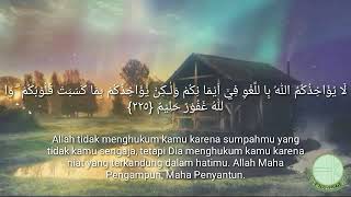 Satu halaman Surah Al-Baqarah ayat 225-230 Juz 2 ~ Shaykh Mishari Alafasy