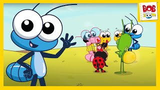 A Champion L Bob Zoom L Nursery Rhymes