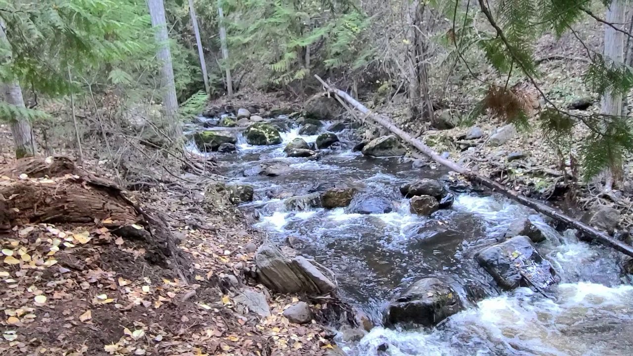 Mill Creek Regional Park, Kelowna