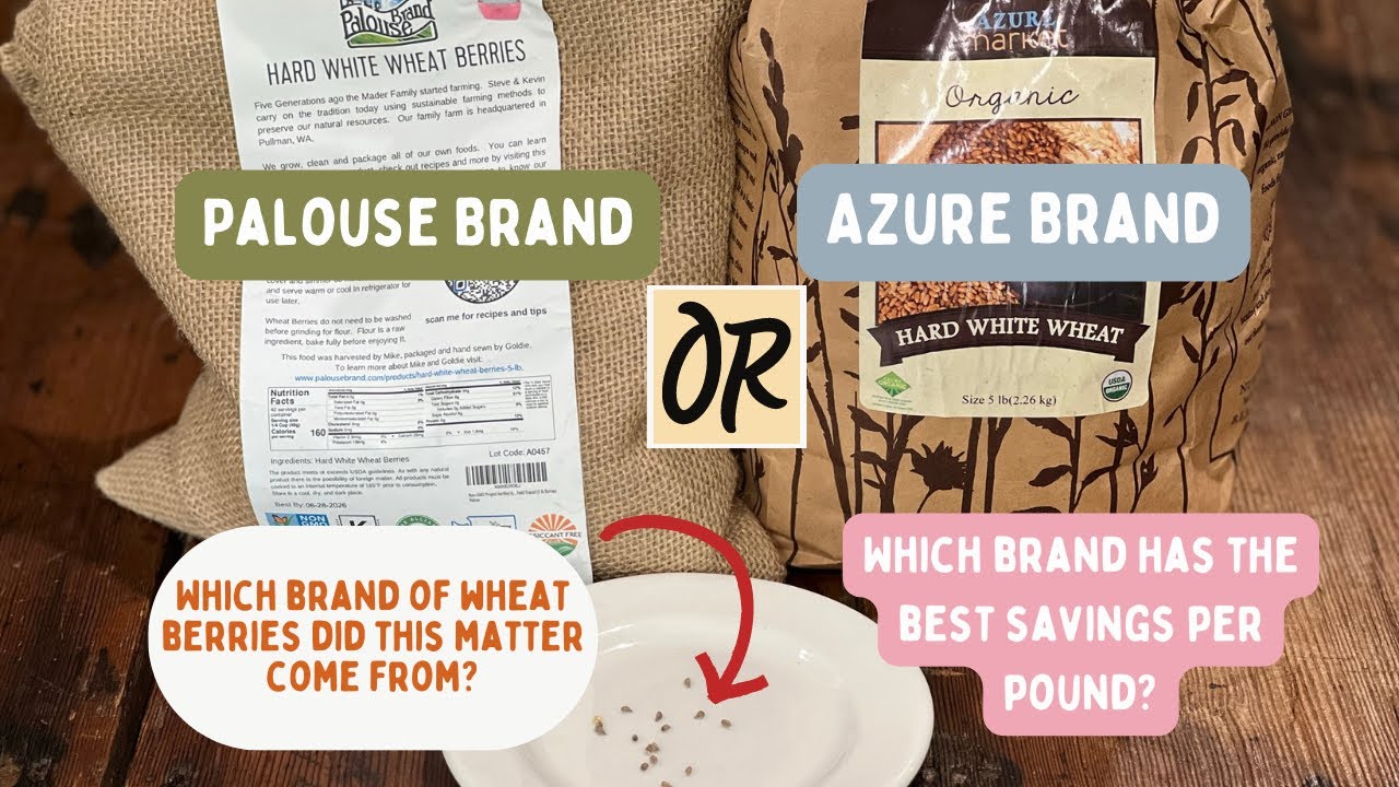Comparing Azure Standard and Palouse Brands of Wheat Berries YouTube