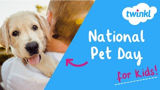 National Pet Day for Kids | 11 April | Popular Pets in the United States | Twinkl USA