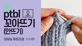 대바늘 왕초보 대바늘 기법 꼬아뜨기 안뜨기 Ptbl 영문도안 앵콜스