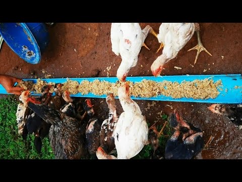 DIY Homemade PVC