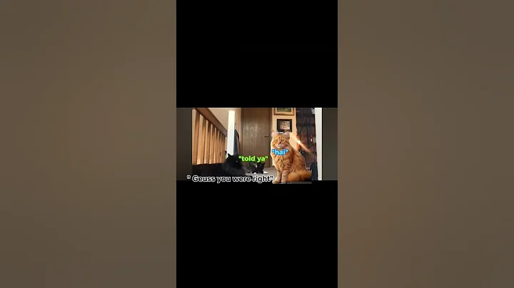 Watch the video about 2 maine coons and 1 calico #therian #feline #cat #edit