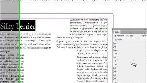 CS6 - Chapter 10 - Lesson 4 - Part 1